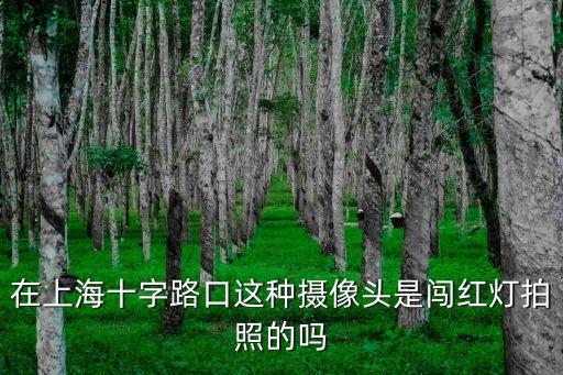 在上海十字路口這種攝像頭是闖紅燈拍照的嗎