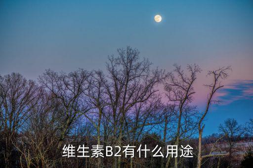  維生素B2有什么用途