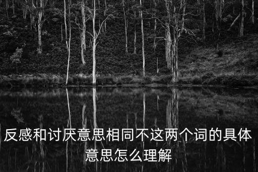 反感的意思，反感和討厭意思相同不這兩個詞的具體意思怎么理解