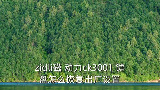 zidli磁 動力ck3001 鍵盤怎么恢復出廠設置