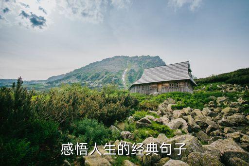 感悟人生，人生感悟感悟人生