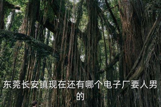東莞長安鎮現在還有哪個電子廠要人男的
