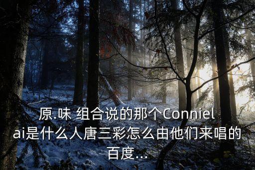 原.味 組合說的那個(gè)Connielai是什么人唐三彩怎么由他們來唱的百度...
