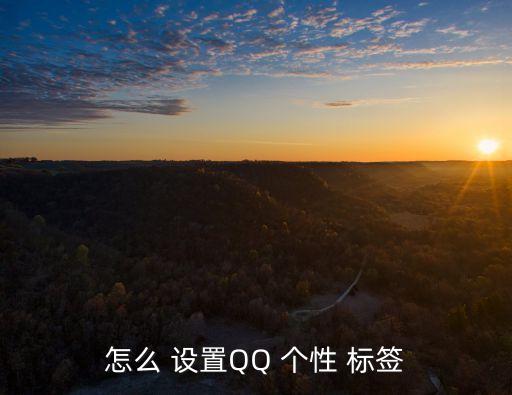 怎么 設置QQ 個性 標簽