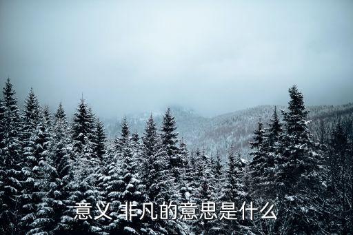 非凡是什么意思,非凡:同行業優秀的人與非凡同行