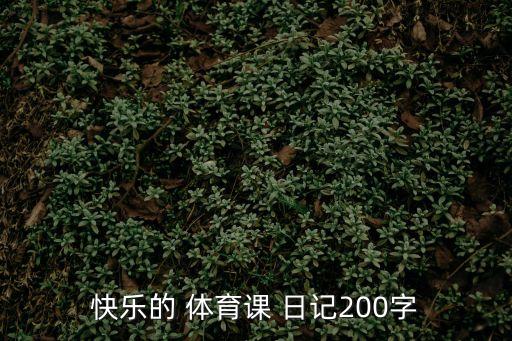 快樂的 體育課 日記200字