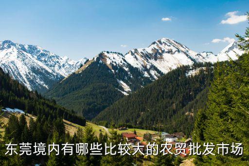 東莞黑窩點賣汽油，我被騙了六千是是賣假手機給我他們說東莞黑店太多了是真
