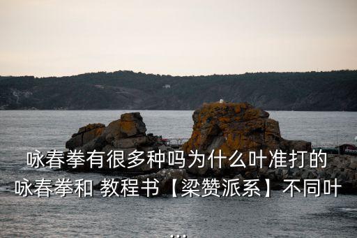  詠春拳有很多種嗎為什么葉準(zhǔn)打的 詠春拳和 教程書【梁贊派系】不同葉...