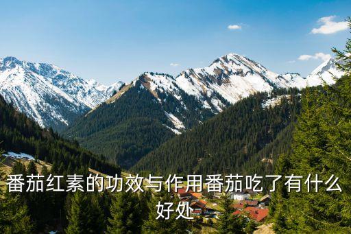 番茄紅素的功效與作用番茄吃了有什么好處