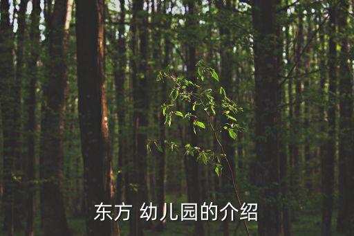 幼兒園介紹,東方幼兒園成立于1992年9月具有三園四址規模