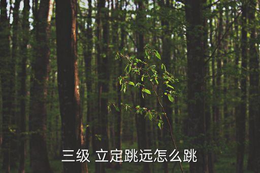 三級 立定跳遠怎么跳