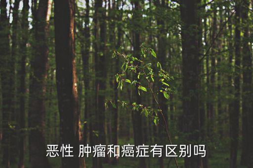 惡性 腫瘤和癌癥有區(qū)別嗎