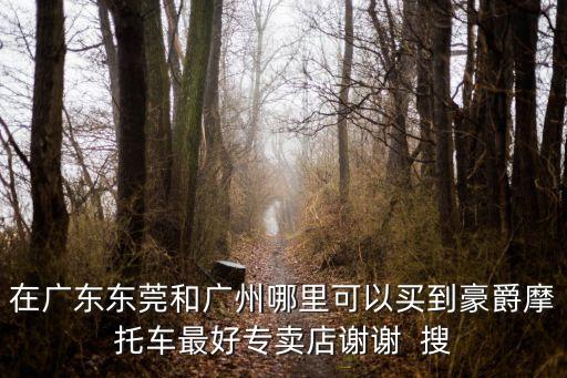 在廣東東莞和廣州哪里可以買到豪爵摩托車最好專賣店謝謝  搜