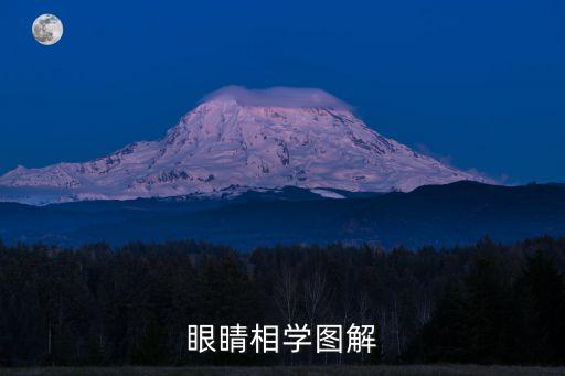 眼相,看看大眼瞪小眼的神秘臉!