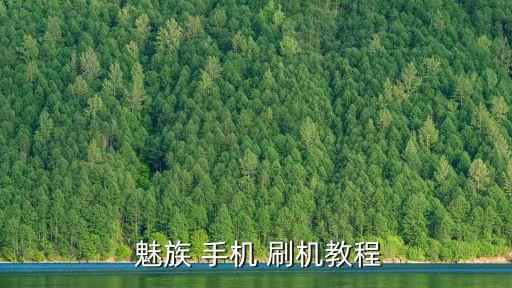  魅族 手機 刷機教程