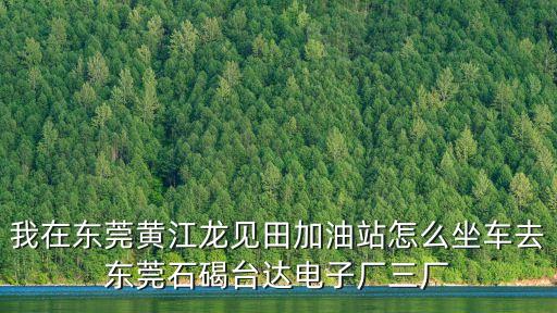 我在東莞黃江龍見田加油站怎么坐車去東莞石碣臺達電子廠三廠