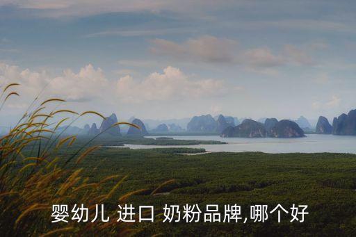  嬰幼兒 進口 奶粉品牌,哪個好