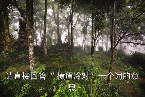 橫眉冷對,魯迅批評國民黨反動派:橫眉冷對成千上萬的攻擊
