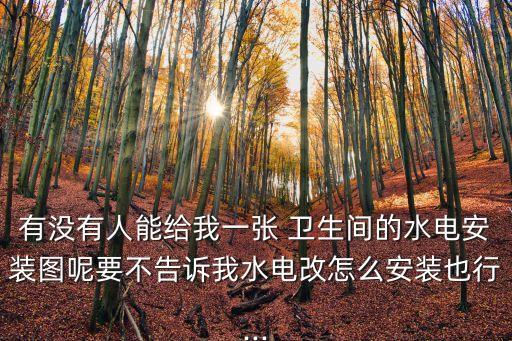 有沒有人能給我一張 衛生間的水電安裝圖呢要不告訴我水電改怎么安裝也行...
