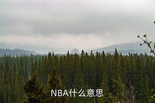 NBA什么意思