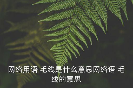 毛線是什么意思,毛線梗來自湖南方言:什么是毛線?