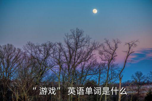 玩游戲的英語,這些休閑游戲是怎么玩的?