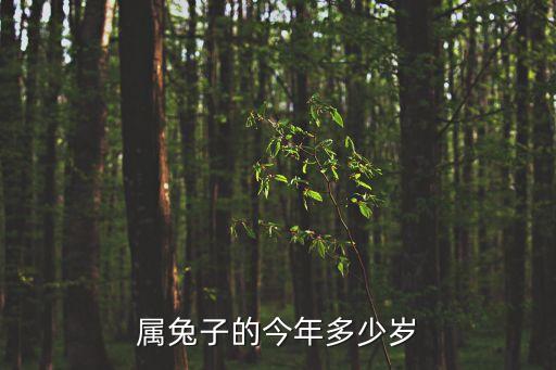 屬兔子的今年多少歲
