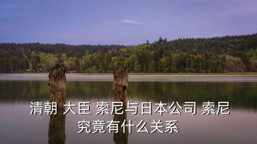  清朝 大臣 索尼與日本公司 索尼究竟有什么關系