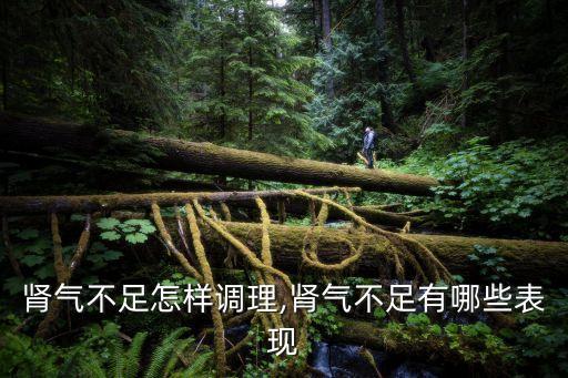 腎氣不足怎樣調(diào)理,腎氣不足有哪些表現(xiàn)