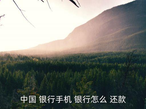 銀行還款,中國農業銀行個人住房抵押貸款高級還款服務