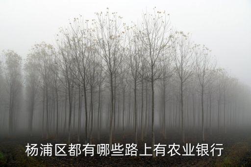 楊浦區都有哪些路上有農業銀行