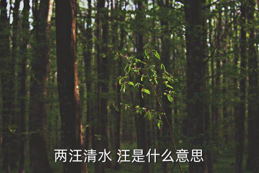 兩汪清水 汪是什么意思