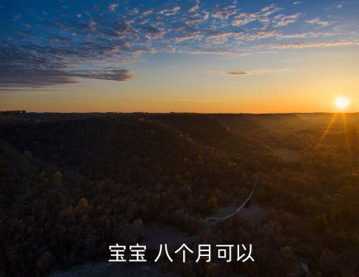  寶寶 八個月可以