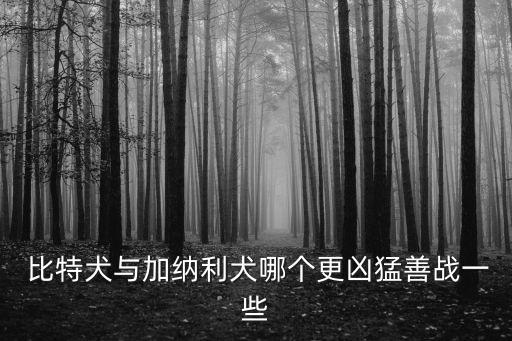 比特犬咬人,比特狗知多少?問與答（19）
