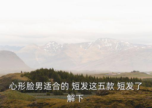 黑色短發,心形臉男生燙發可選擇什么樣的發色?