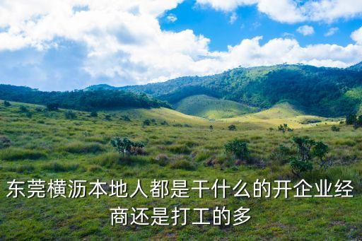 東莞橫瀝本地人都是干什么的開企業經商還是打工的多