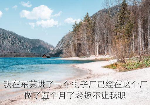 東莞和緯電了，我在東莞進了一個電子廠已經在這個廠做了五個月了老板不讓我職