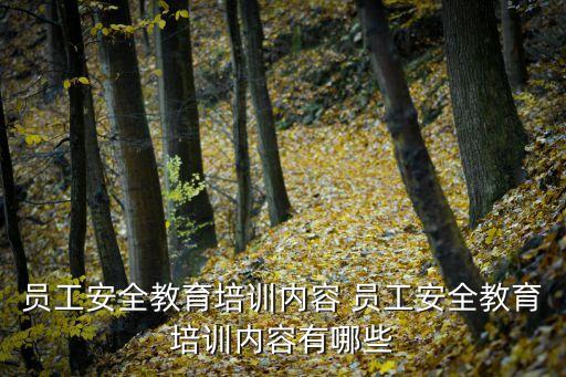 員工安全教育培訓，如何開展員工安全培訓