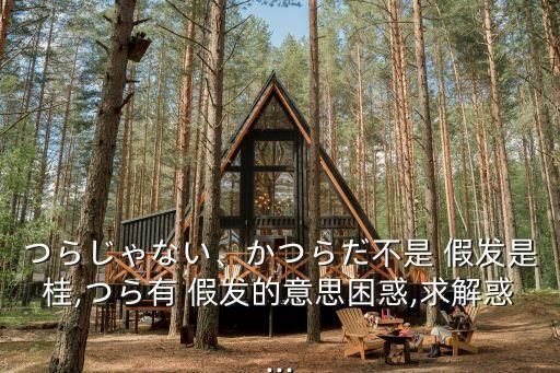 不是假發是桂,日本漫畫《銀魂》主角假發也可譯成no假發