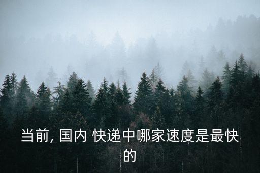 當前, 國內 快遞中哪家速度是最快的