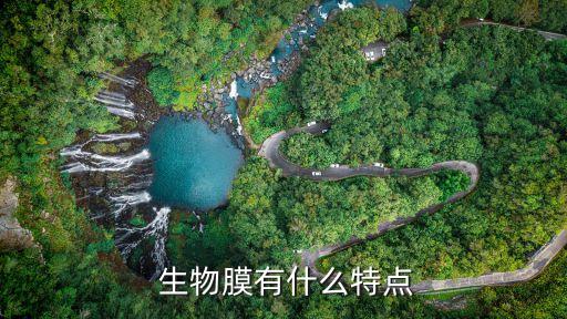  生物膜有什么特點(diǎn)
