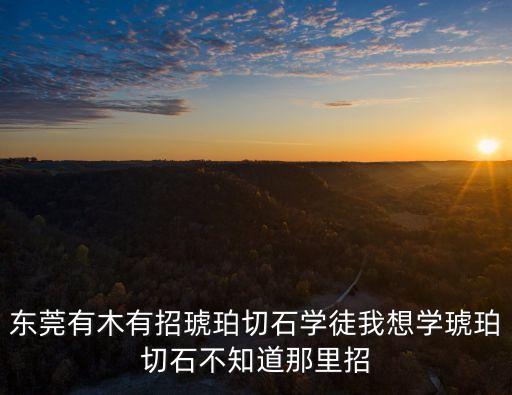 東莞有木有招琥珀切石學徒我想學琥珀切石不知道那里招