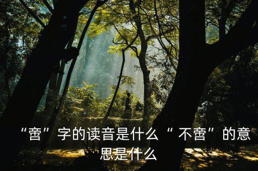 “啻”字的讀音是什么“ 不啻”的意思是什么