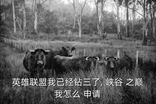 英雄聯盟我已經鉆三了, 峽谷 之巔我怎么 申請
