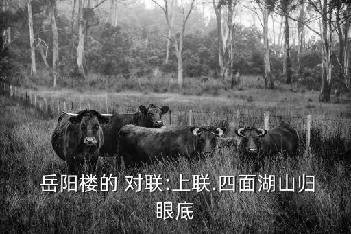  岳陽樓的 對聯(lián):上聯(lián).四面湖山歸眼底