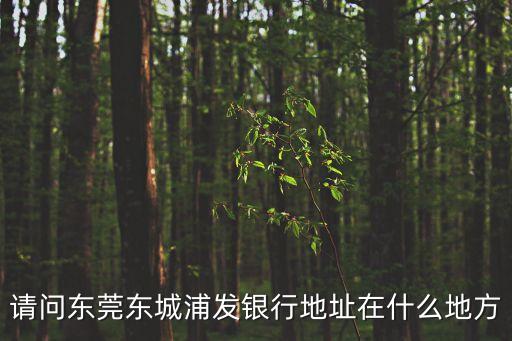 請問東莞東城浦發銀行地址在什么地方