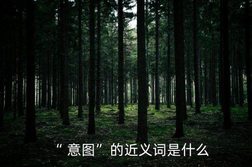 “ 意圖”的近義詞是什么