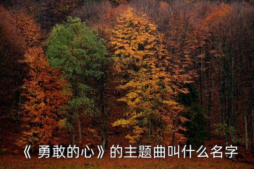 《 勇敢的心》的主題曲叫什么名字