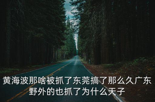 黃海波那啥被抓了東莞搞了那么久廣東野外的也抓了為什么天子
