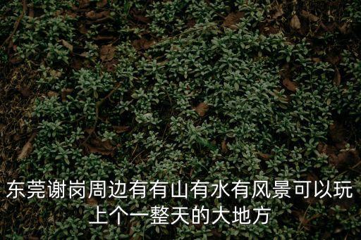 東莞謝崗周邊有有山有水有風景可以玩上個一整天的大地方